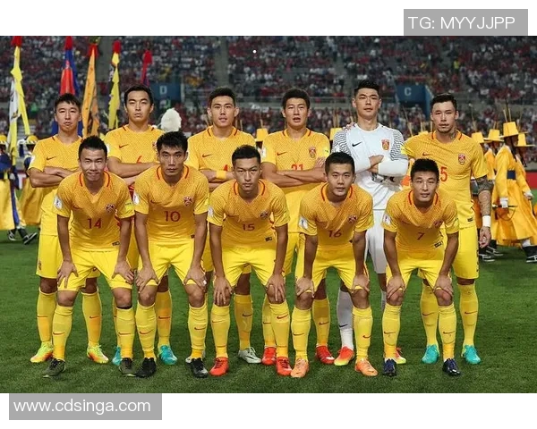 中国足球队在俄罗斯世界杯的表现与未来发展展望分析